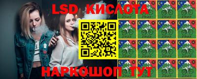 PSILOCYBIN Гатчина