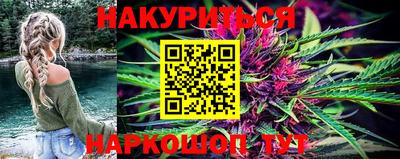 PSILOCYBIN Гатчина